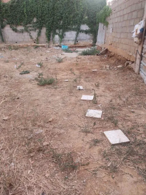 Vente Terrain Alger Kouba