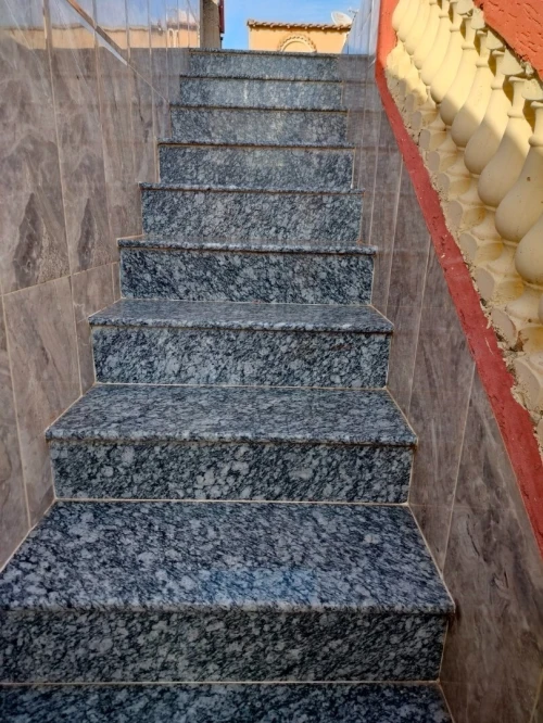 Vente Villa Alger Kouba