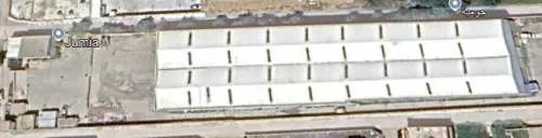 Location Hangar Alger Les eucalyptus
