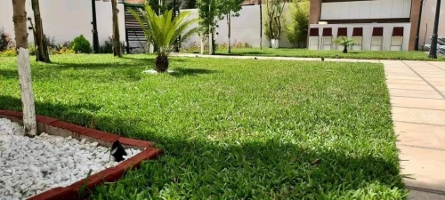Gazon et jardinage 