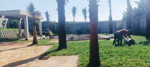Espace vert et jardinage