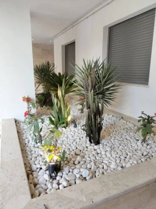 Gazon et plantes 