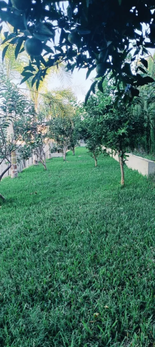 Espace vert et jardinage