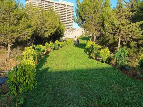 Gazon et jardinage 