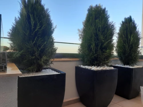 Espace vert et Gazon Naturel 