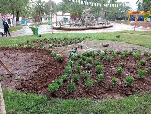 Aménagement d'espaces verts et nettoyage
