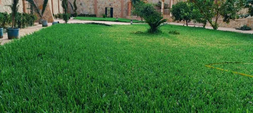 Espace vert et jardinage