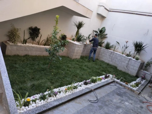Espace vert et Gazon Naturel 