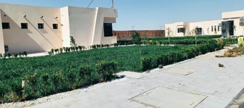 Gazon et plantes 