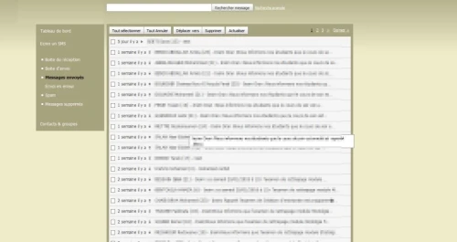 Logiciel bulk SMS avec API