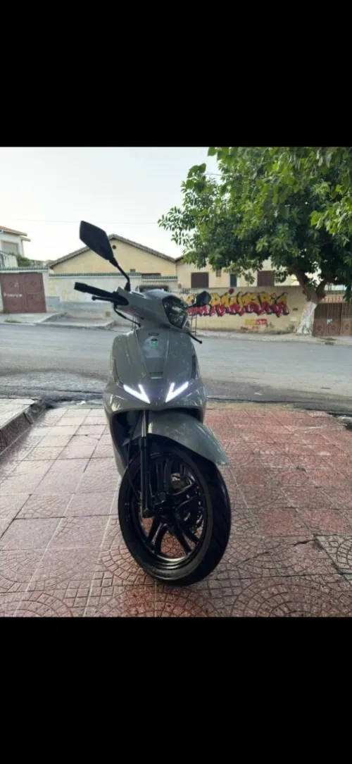 Vms Coral 2024