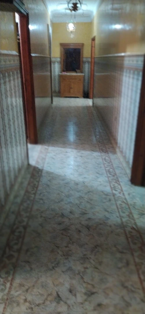 Location Villa Alger Les eucalyptus
