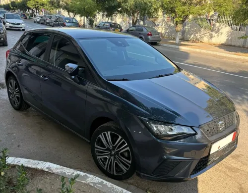 Seat Ibiza 2024 Style