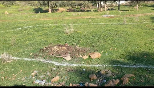 Vente Terrain Tipaza Kolea
