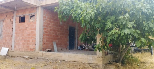 Vente Terrain Médéa Tablat 6