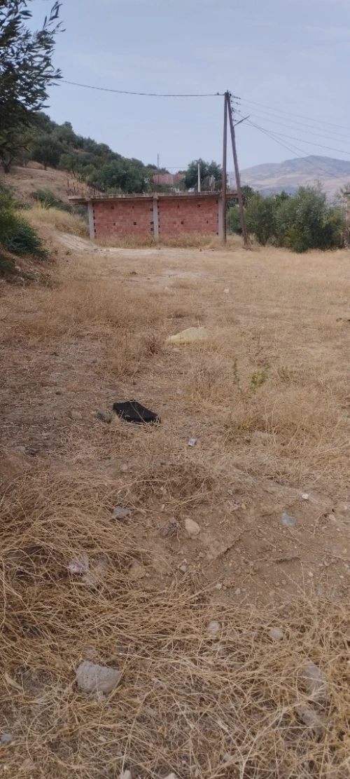 Vente Terrain Médéa Tablat 8