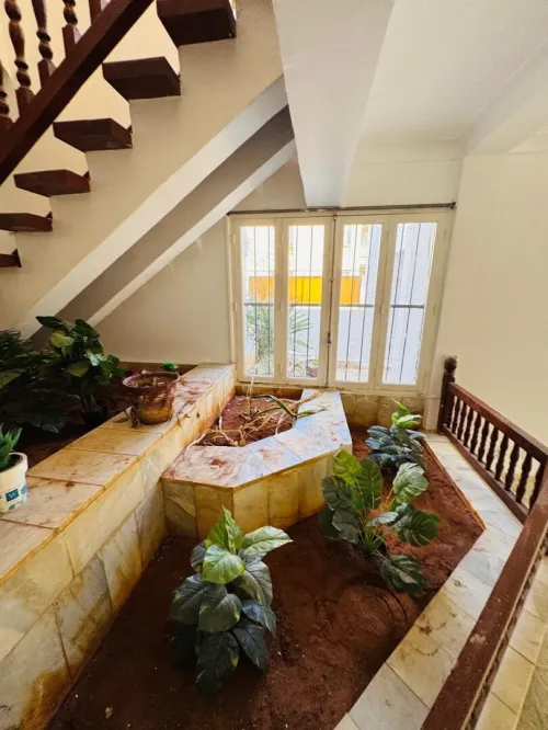 Location Villa Alger Dely brahim