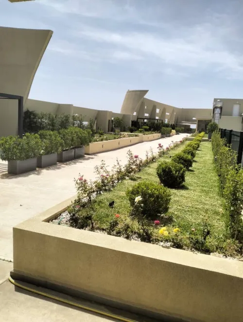 Vente Appartement F4 Alger Dely brahim