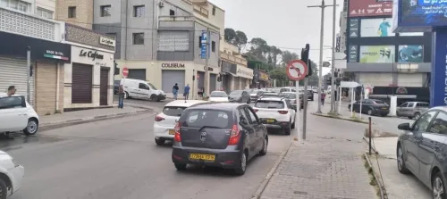 Location Local Alger Dely brahim