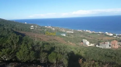Vente Terrain Béjaïa Beni ksila