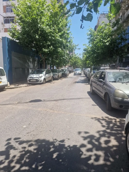 Location Local Alger Belouizdad