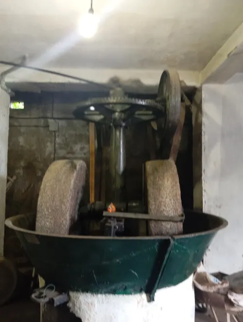 Huilerie traditionnelle Blachère