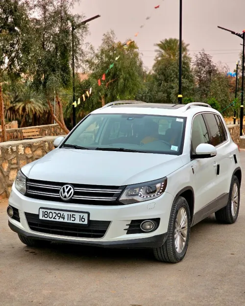 Volkswagen Tiguan 2015 CUP