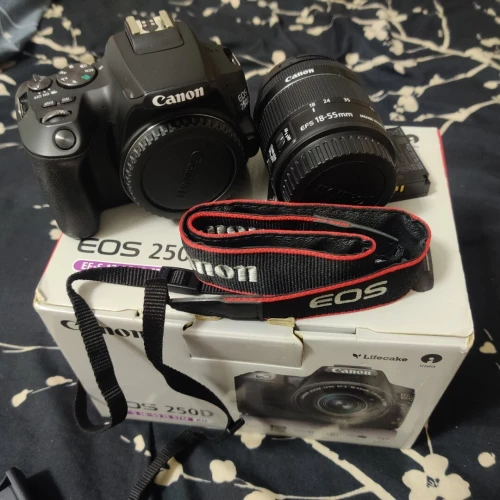 Canon 250D