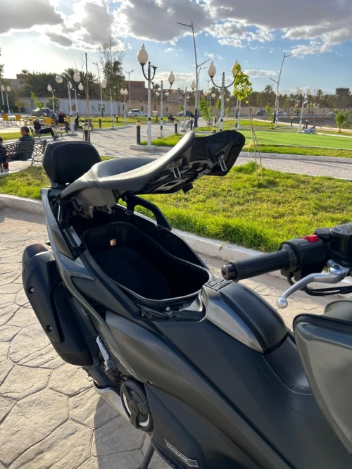 Yamaha Timax 2021