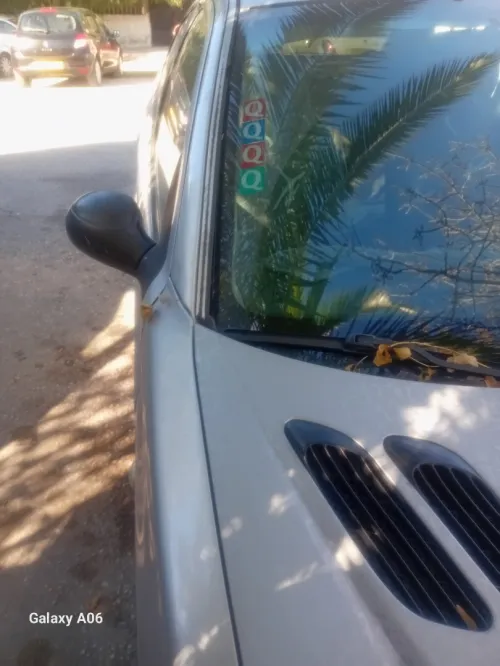 Peugeot 206 Sedan 2007 206 Sedan