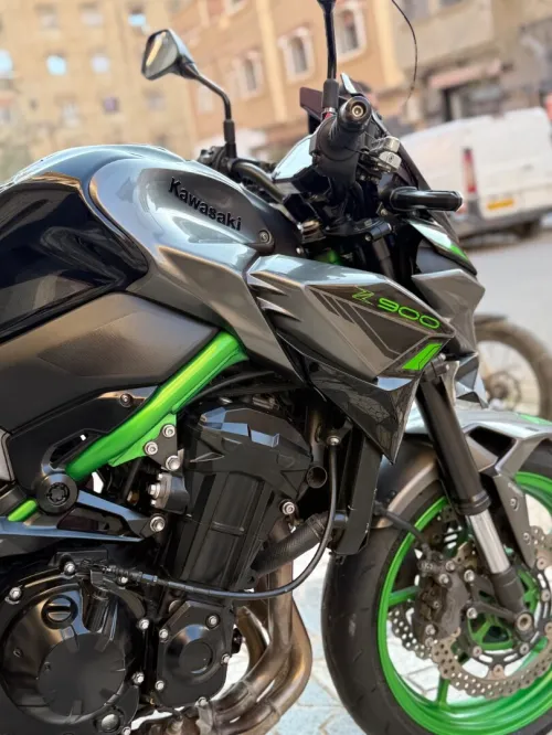 Kawasaki Z900 2024