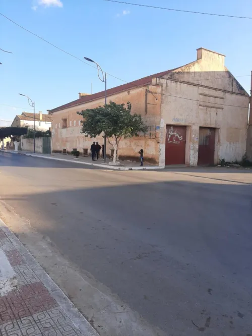 Location Hangar Mostaganem Ain nouissi