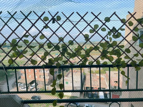 Location Appartement F04 Boumerdès Zemmouri