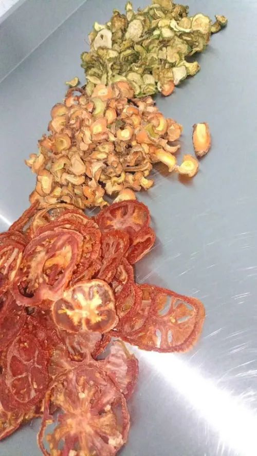 séchoir alimentaire مجفف الشخشوخة و العجائن و الخضر و الفواكه و الاعشاب 220فولط