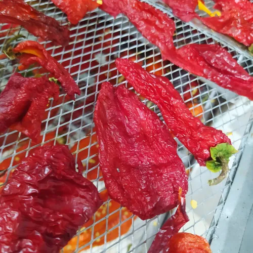 مجفف الشخشوخة و العجائن و الخضر و الفواكه و الاعشاب الطبية  séchoir alimentaire