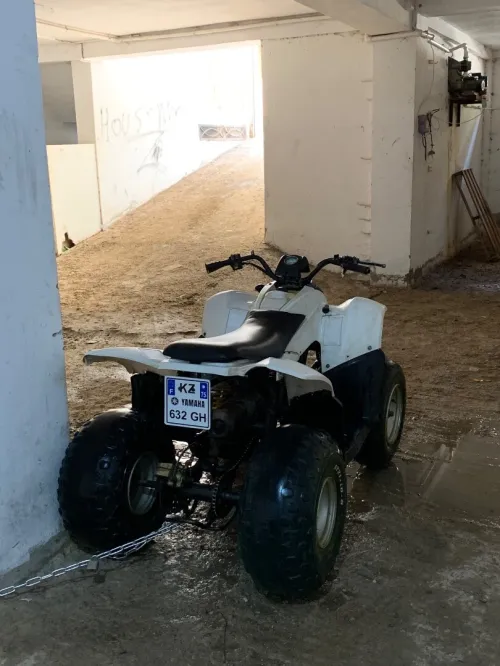 Quad boit auto 85cc 2T 🇫🇷 2016