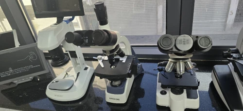 microscope visualiseur rétroprojecteur