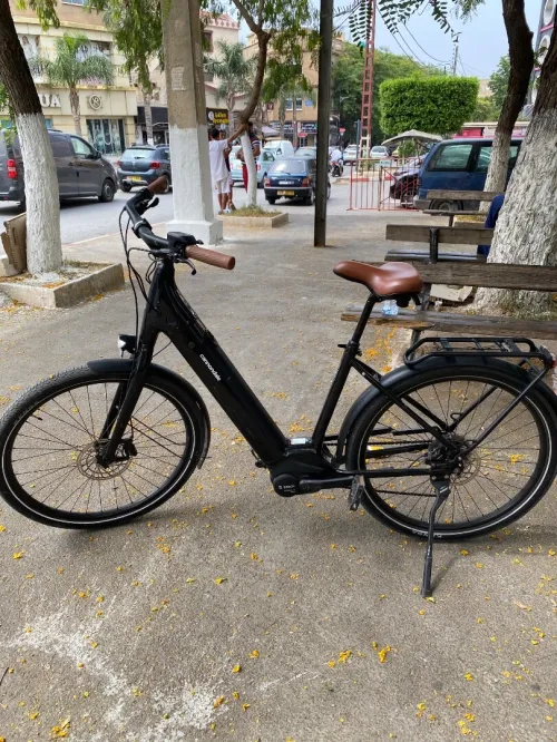 Vélo électrique 