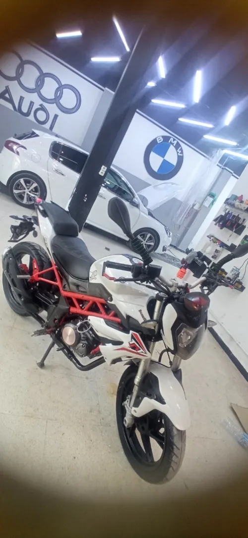 Benelli Tnt 2021