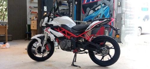 Benelli Tnt 2021