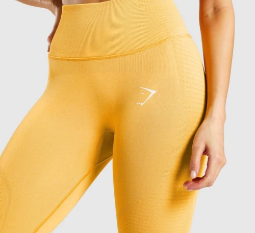 Leggings gym shark