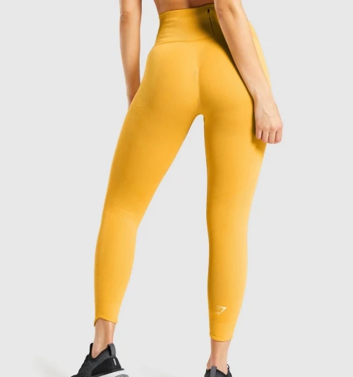 Leggings gym shark