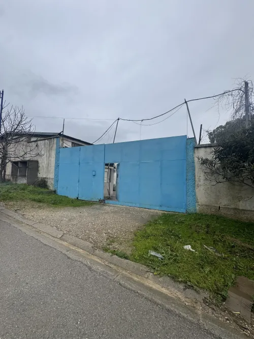 Vente Hangar - Usine Constantine Zighoud youcef
