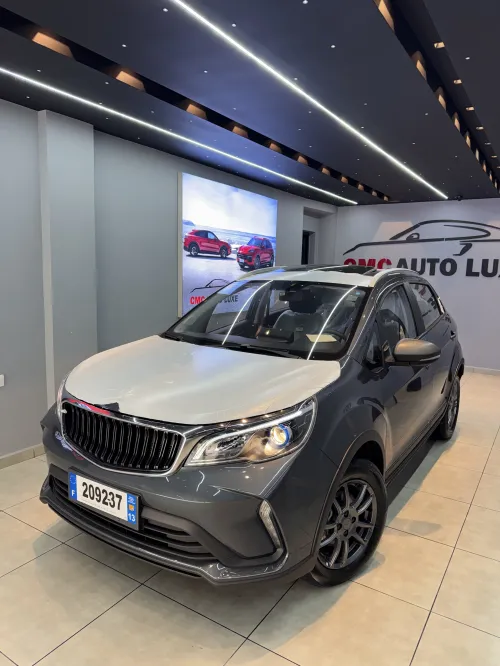 Livan X3 Pro  2026 Automatique (Avec toi ouvrant )