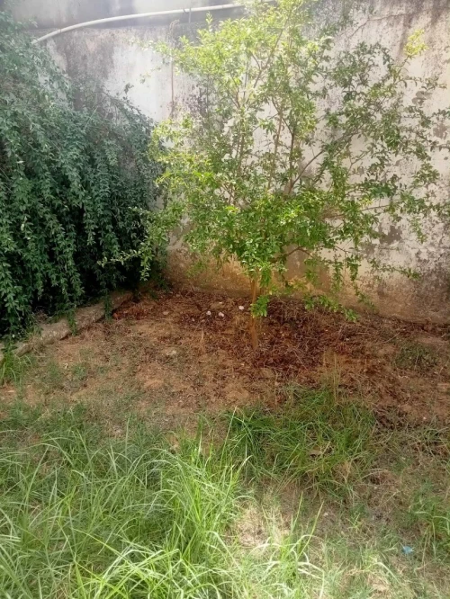Jardinier 