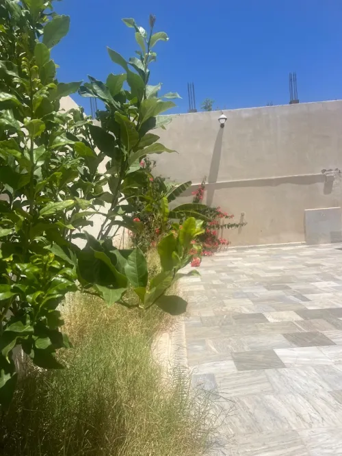 Location Appartement F3 Skikda Skikda