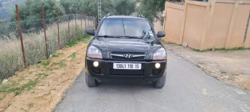 Hyundai Tucson 2010 Tucson