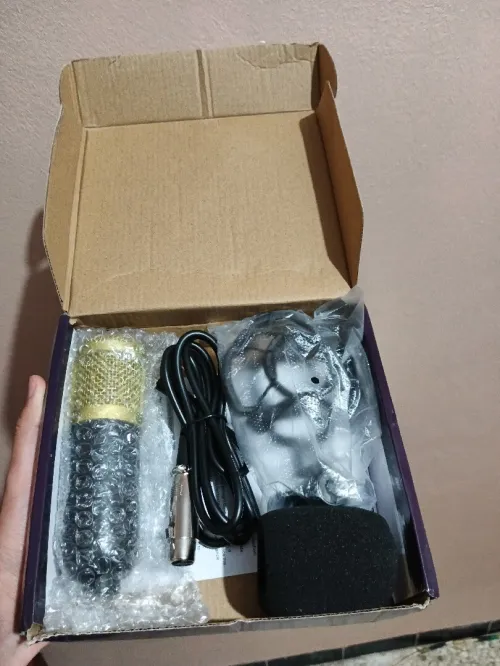 Microphone BM 800 GOLD (JAMES UTILISER)