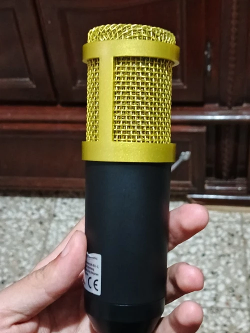 Microphone BM 800 GOLD (JAMES UTILISER)