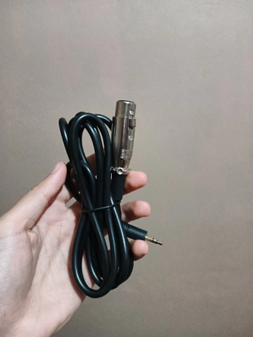Microphone BM 800 GOLD (JAMES UTILISER)